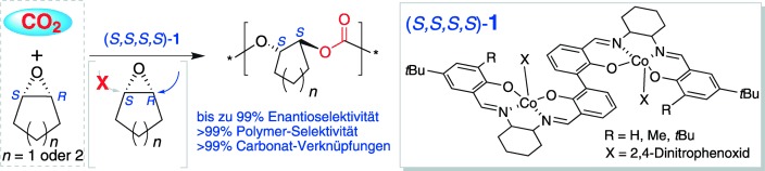 Asymmetric Copolymerization of CO2 with meso-Epoxides Mediated by Dinuclear Cobalt(III) Complexes: Unprecedented Enantioselectivity and Activity