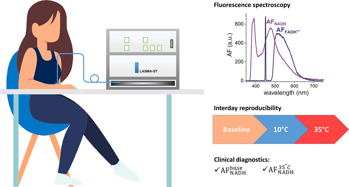 Fluorescence Spectroscopy With Temperature Functional Tests in the Assessment of Markers of Intracellular Energy Metabolism: Spatial Heterogeneity and Reproducibility of Measurements