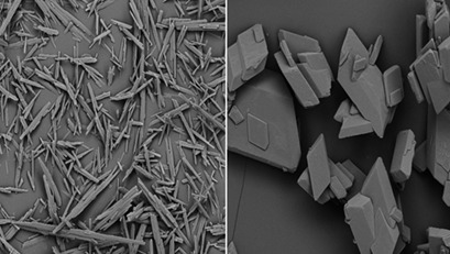 Influence of the Solvent Content on the Phase Transformation of Sulfadiazine N-Methyl Pyrrolidone Solvate