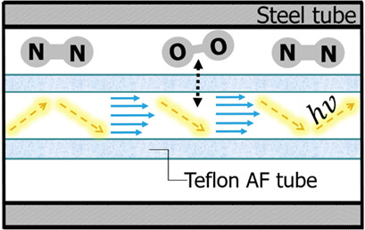 An Optical Microreactor Enabling In Situ Spectroscopy Combined with Fast Gas-Liquid Mass Transfer