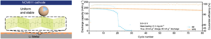 The Interaction in Electrolyte Additives Accelerates Ion Transport to Achieve High-Energy Non-Aqueous Lithium Metal Batteries