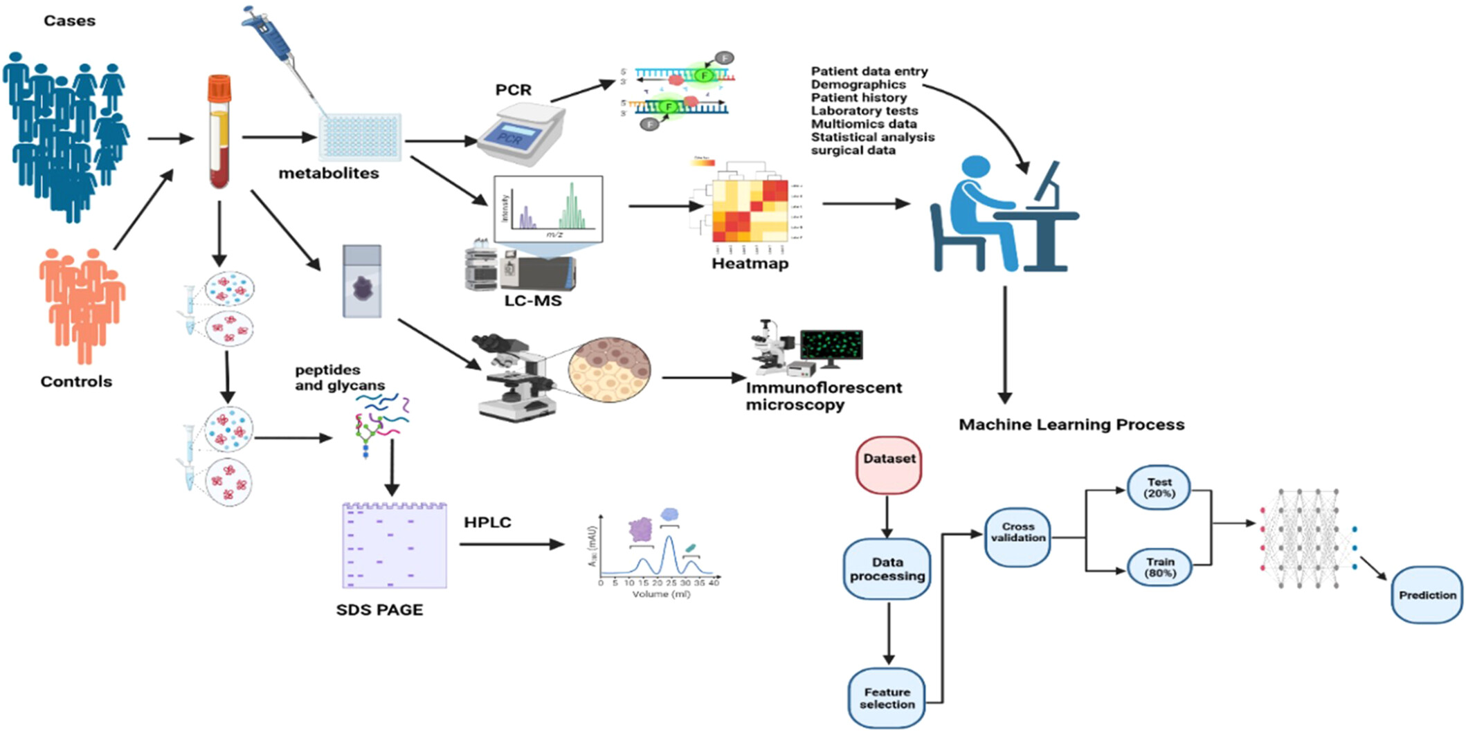 Pathways to chronic disease detection and prediction: Mapping the potential of machine learning to the pathophysiological processes while navigating ethical challenges