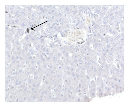 Details are in the caption following the image
