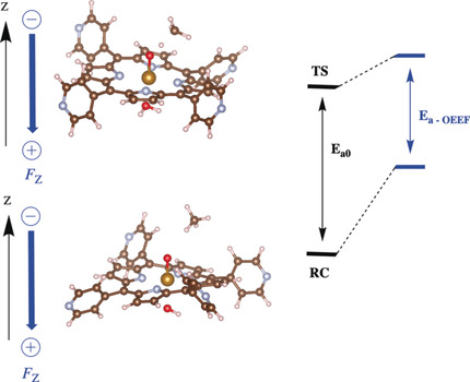 Oriented (Local) Electric Fields Drive the Millionfold Enhancement of the H-Abstraction Catalysis Observed for Synthetic Metalloenzyme Analogues