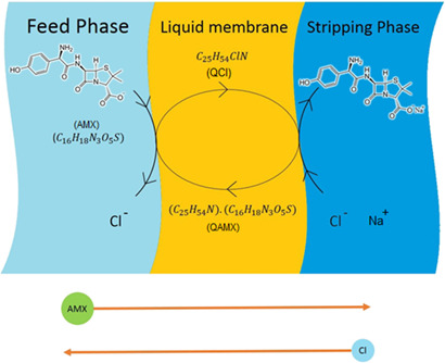 Amoxicillin Extraction from Aqueous Solution by Emulsion Liquid Membranes Using Response Surface Methodology