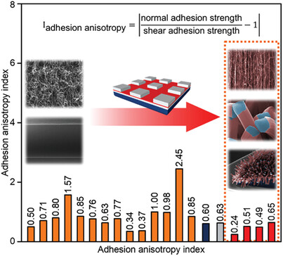 Construction of Medusa-Like Adhesive Carbon Nanotube Array Induced by Deformation of Alumina Sheets