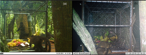 Details are in the caption following the image Details are in the caption following the image