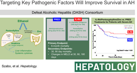 IL-1 receptor antagonist plus pentoxifylline and zinc for severe alcohol-associated hepatitis