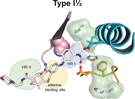 Optimized Target Residence Time: Type I
Inhibitors for p38α MAP Kinase with Improved Binding Kinetics through Direct Interaction with the R-Spine