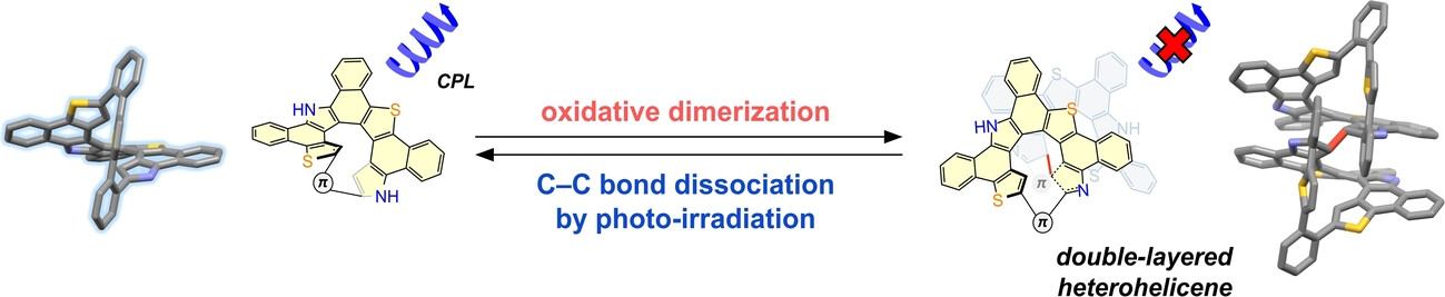 Synthesis of Closed-Heterohelicenes Interconvertible between Their Monomeric and Dimeric Forms