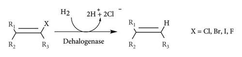 Details are in the caption following the image
