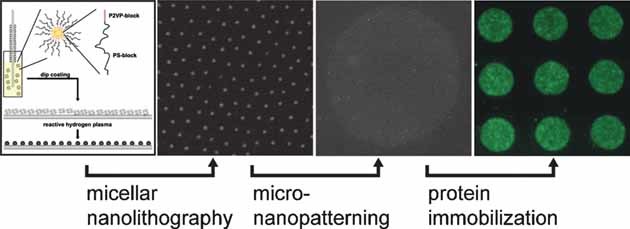 Micro-Nanostructured Protein Arrays: A Tool for Geometrically Controlled Ligand Presentation