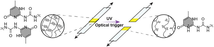 Photoacid-Induced Supramolecular Network Disassembly: A Systems Approach to Stimuli-Responsive Polymers