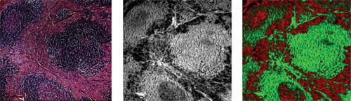 Details are in the caption following the image