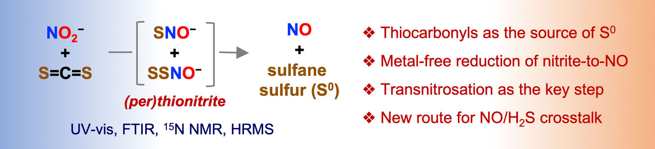 Synergistic Activation of Nitrite and Thiocarbonyl Compounds Affords NO and Sulfane Sulfur via (Per)thionitrite (SNO−/SSNO−)