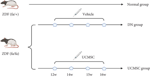 Details are in the caption following the image