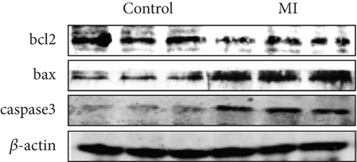 Details are in the caption following the image