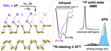 Surface Functionalization of Black Phosphorus with Nitrenes: Identification of P=N Bonds by Using Isotopic Labeling
