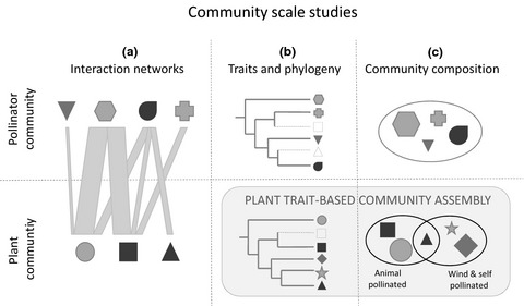 The neglected importance of floral traits in trait-based plant community assembly
