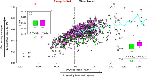 Natural forests exhibit higher carbon sequestration and lower water consumption than planted forests in China