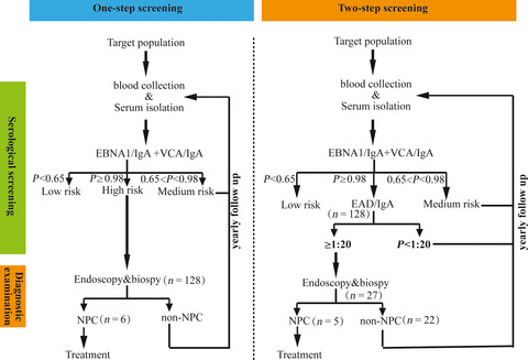 Establishment and validation of a two-step screening scheme for improved performance of serological screening of nasopharyngeal carcinoma