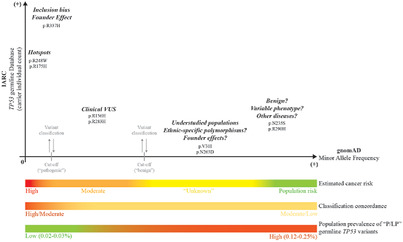 Variable population prevalence estimates of germline TP53 variants: A gnomAD-based analysis