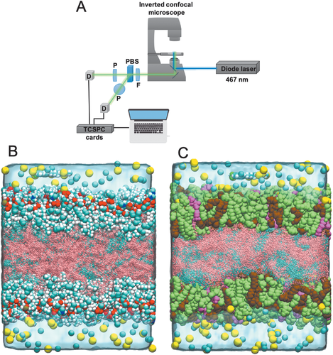 Details are in the caption following the image Details are in the caption following the image