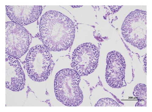 Details are in the caption following the image