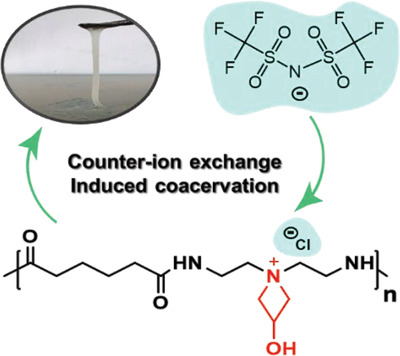 A Robust Salty Water Adhesive by Counterion Exchange Induced Coacervate