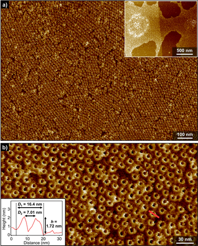 Details are in the caption following the image Details are in the caption following the image