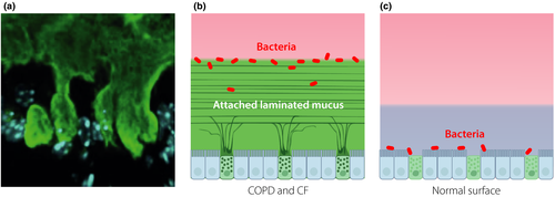 Details are in the caption following the image