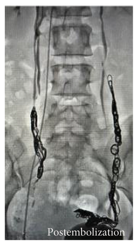 Details are in the caption following the image Details are in the caption following the image