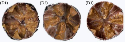 Details are in the caption following the image Details are in the caption following the image