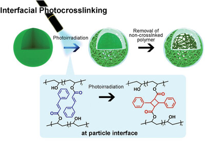 Systematic study on fabrication of hollow poly(vinyl cinnamate) particles by particulate interfacial photocrosslinking