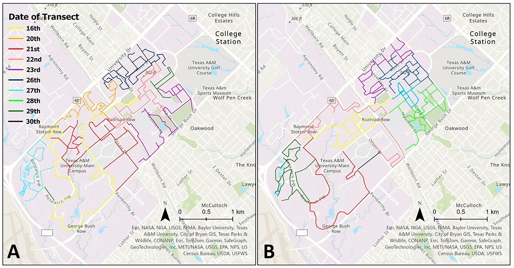 Occurrence of Fox Squirrels Influenced by Fine-Scale Landscape Characteristics on a College Campus