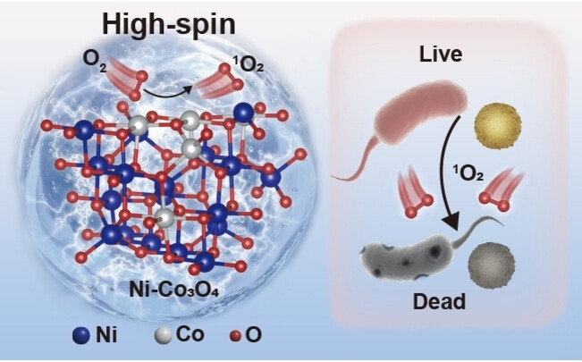 Spin-state Conversion by Asymmetrical Orbital Hybridization in Ni-doped Co3O4 to Boost Singlet Oxygen Generation for Microbial Disinfection