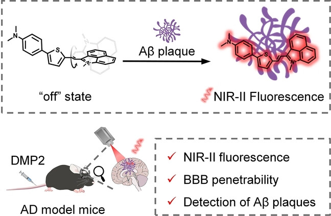 An Activatable NIR-II Fluorescent Reporter for In Vivo Imaging of Amyloid-β Plaques