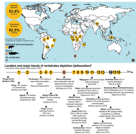 The empty forest three decades later: Lessons and prospects