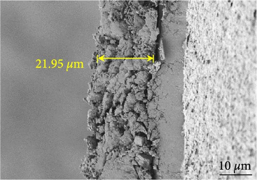 Details are in the caption following the image