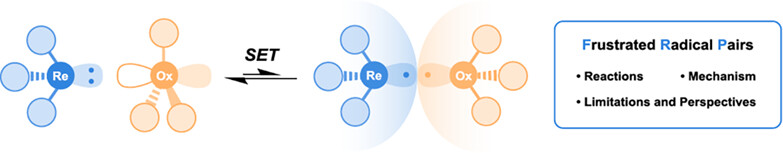 Organic Synthesis through Radical Innovation: Frustrated Radical Pairs†