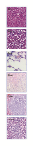 Details are in the caption following the image Details are in the caption following the image