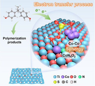 Confining Asymmetrically Coordinated Cobalt Single-Atoms/Clusters on Holey MXene for Ultrafast Fenton-Like Catalysis