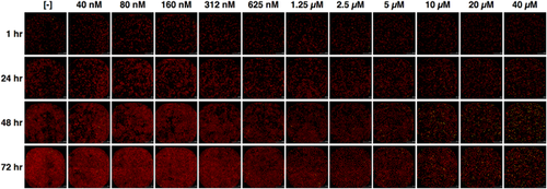 Details are in the caption following the image Details are in the caption following the image