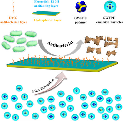 Design and synthesis of antibacterial waterborne fluorinated polyurethane