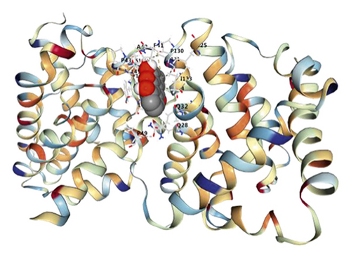 Details are in the caption following the image Details are in the caption following the image