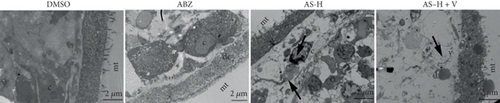 Details are in the caption following the image