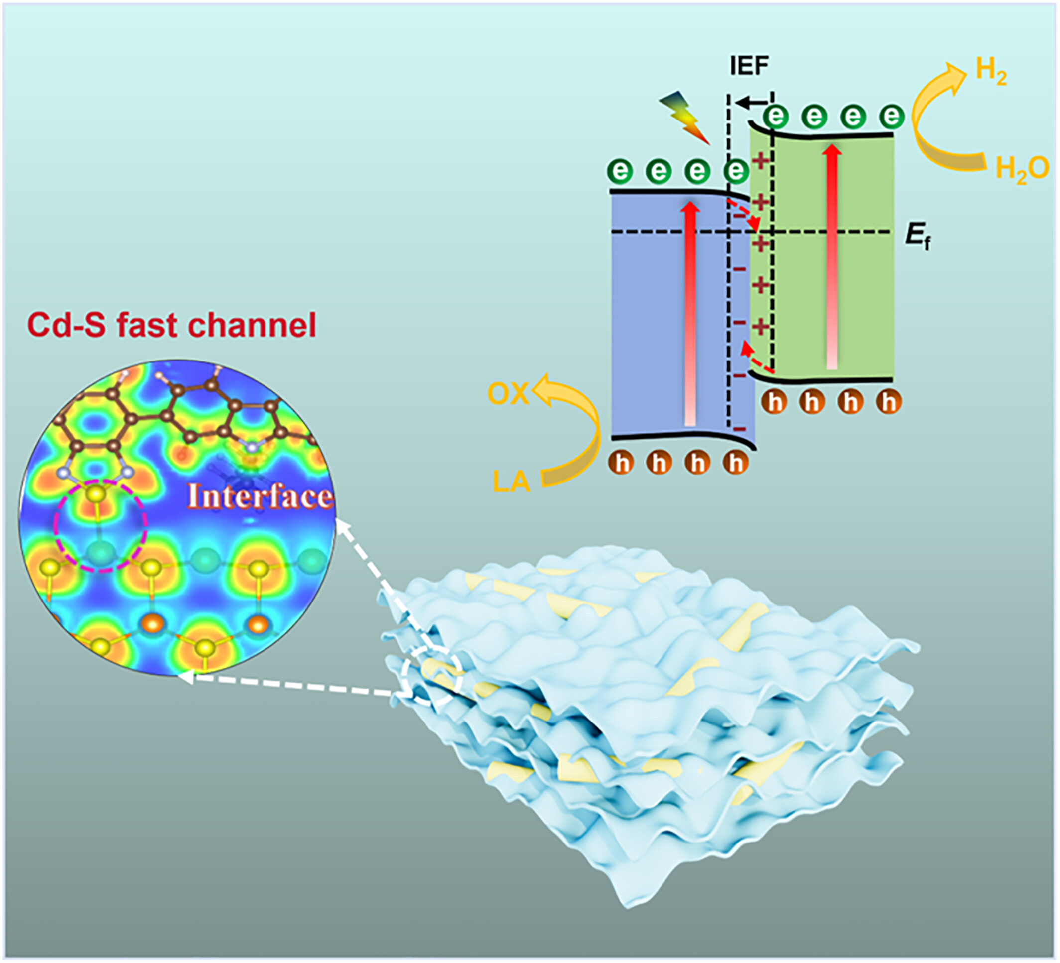 Organic-inorganic CdS/CBT S-scheme heterojunction with enhanced charge transfer for efficient photocatalytic hydrogen production