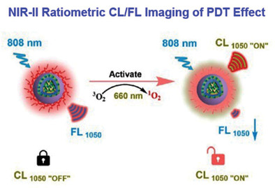 NIR-II Ratiometric Chemiluminescent/Fluorescent Reporters for Real-Time Monitoring and Evaluating Cancer Photodynamic Therapy Efficacy