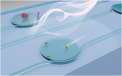 On-Chip Multimode WGM Microresonator with Cross-Correlation Algorithm for Enhanced Sensing