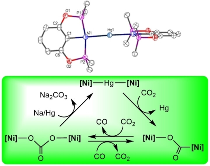 Unlocking CO2 Activation With a Novel Ni−Hg−Ni Trinuclear Complex